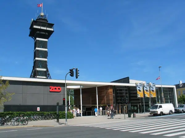 Ting å Gjøre i København - de 25 beste Severdigheter og Attraksjoner 12 kobenhavn zoo