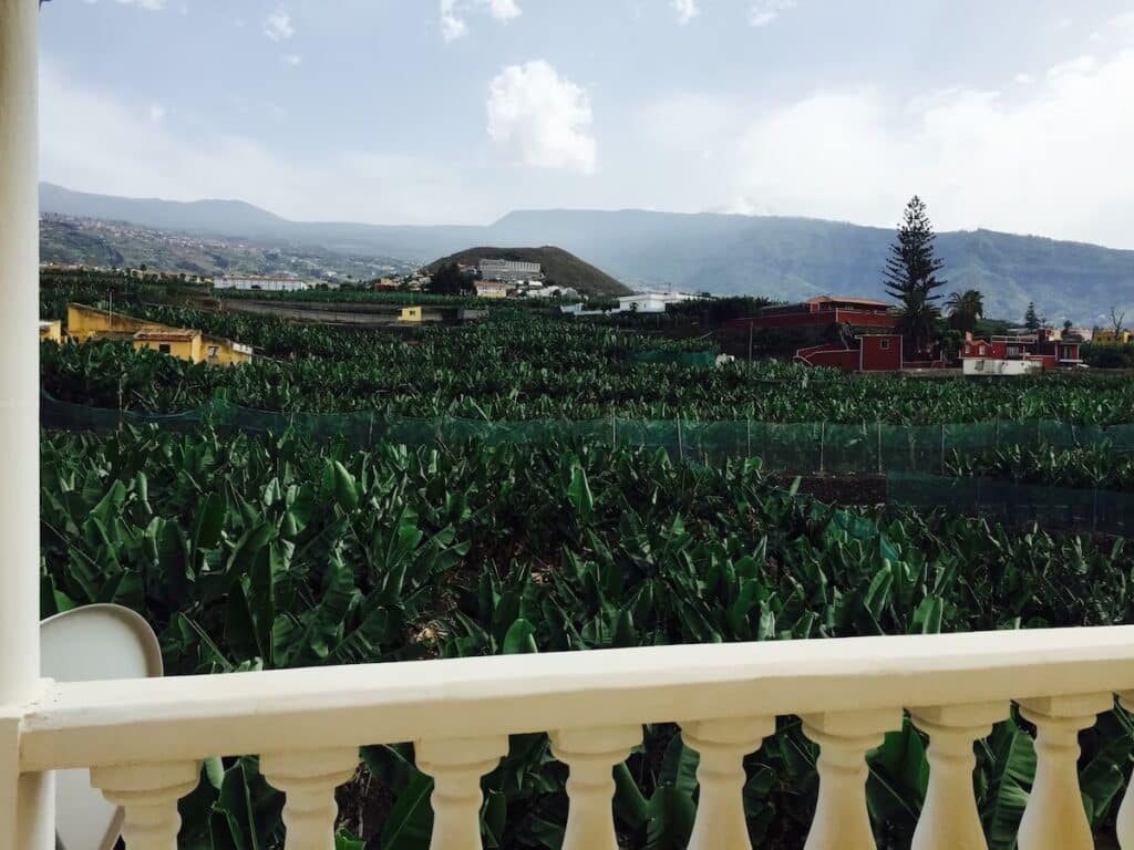 Apartamentos Villa Rosalva