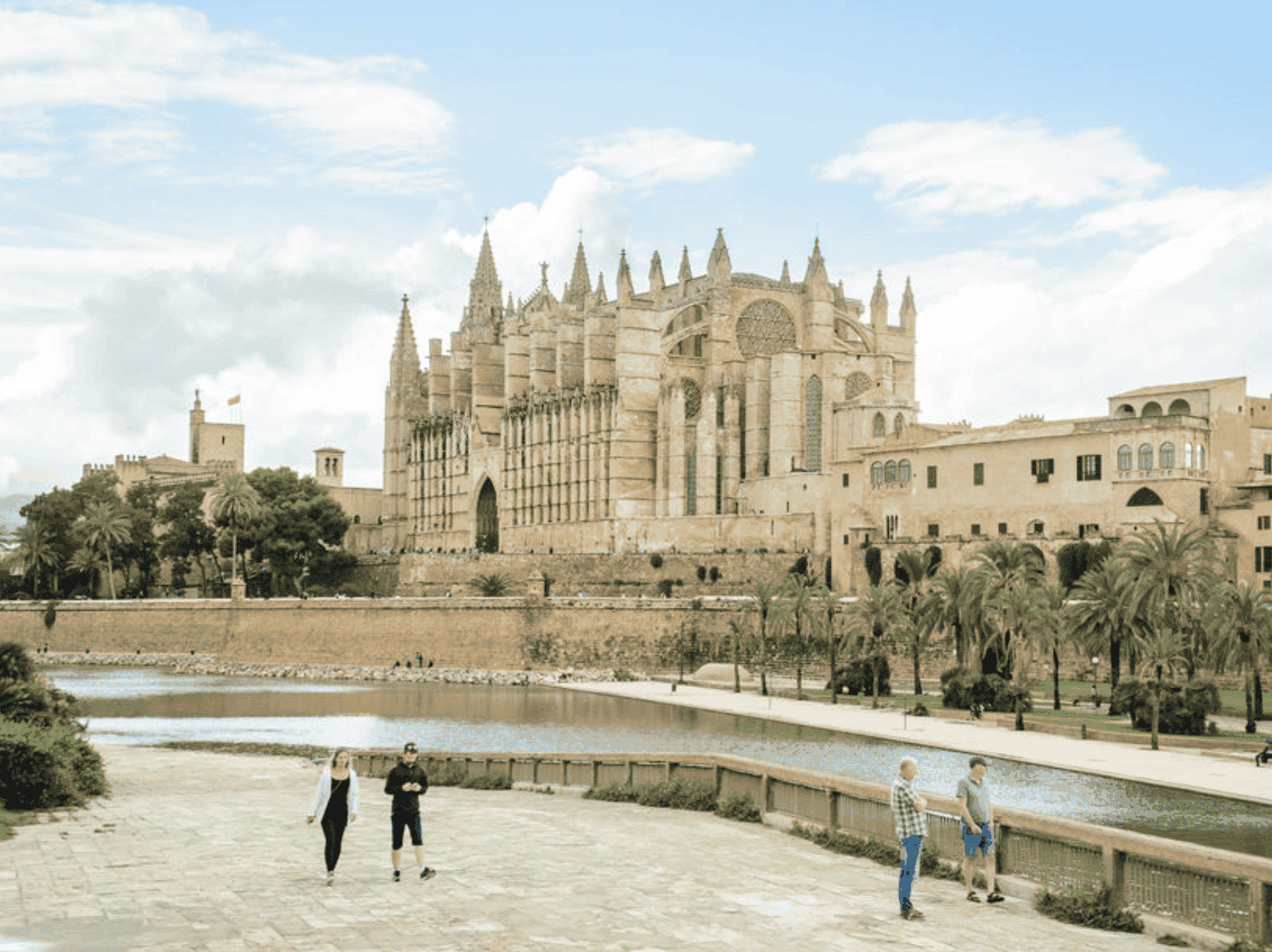 Palma katedral