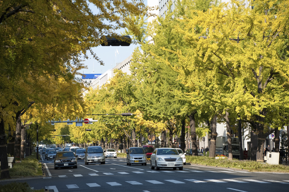 Fra Kansai lufthavn til Osaka og Kyoto - transportguide 8 Bulevarden Midosuji i Osaka