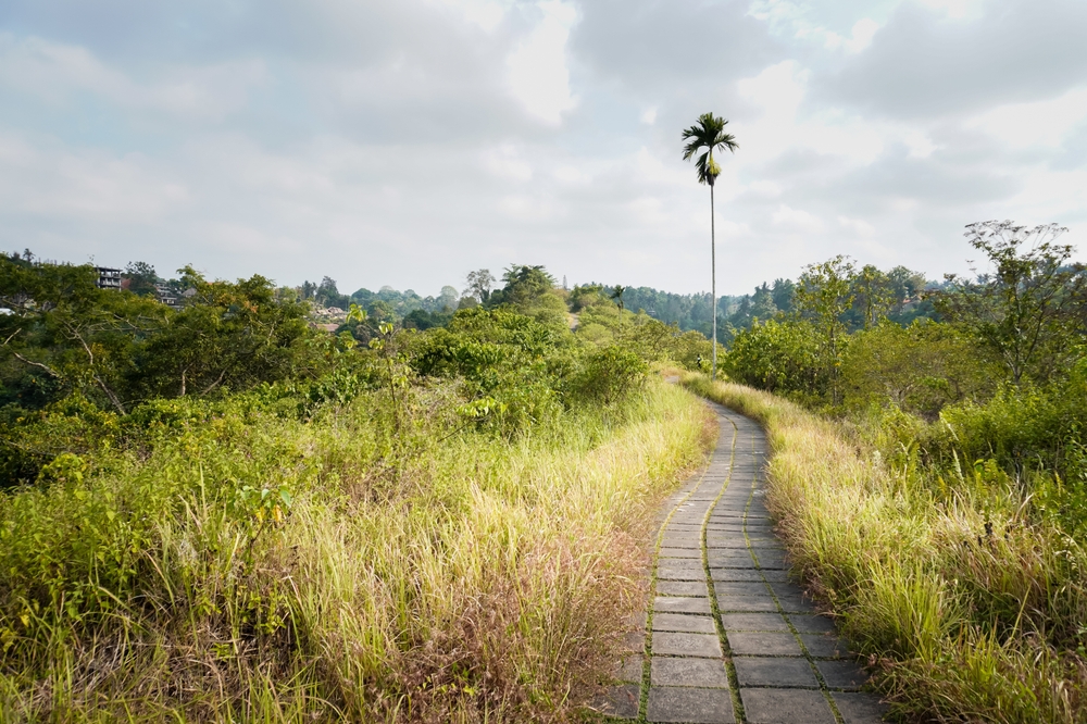 Severdigheter på Bali: De 17 beste tingene å se og gjøre 4 Campuhan Ridge Walk ved Ubud i morgensol
