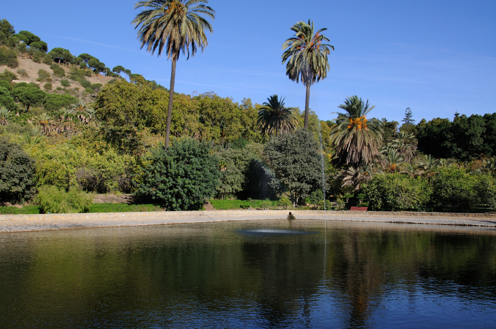 Severdigheter i Malaga og Costa del Sol: de 18 beste tingene å se og gjøre 12 Dammen i den botaniske hagen La Concepción i Malaga