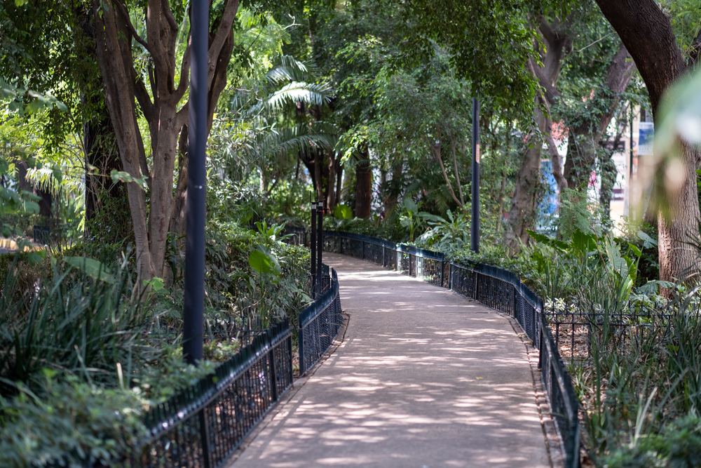 Hvor bør man bo i Mexico City? De 6 beste områdene & gode hoteller 3 Den grønne midtrabatten i Avenida Ámsterdam i Condesa i Mexico City