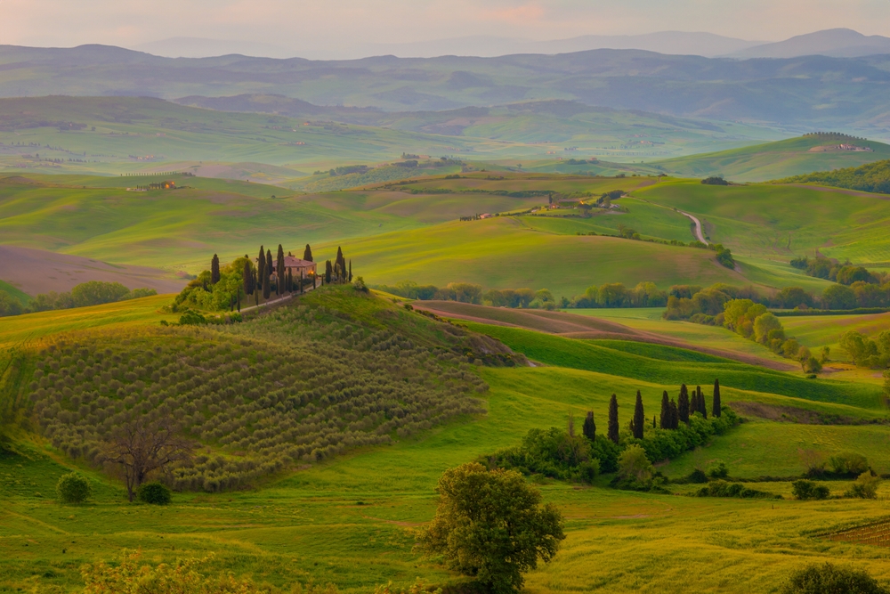 Grønne bølgende åser i Toscana