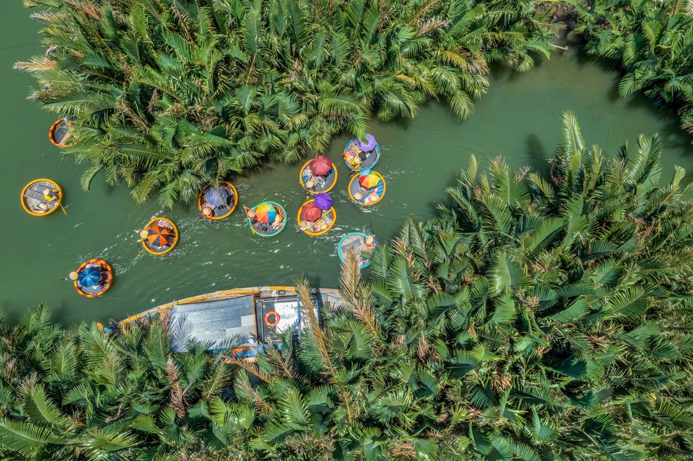 Kurvbåter i kokosskogen Bay Mau i Cam Thanh ved Hoi An