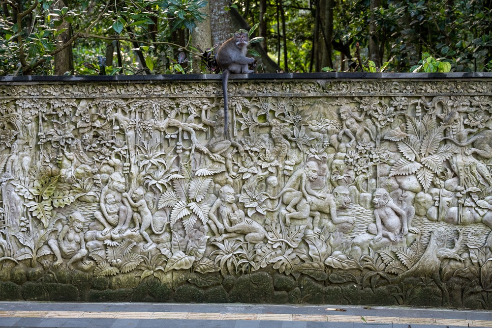 Severdigheter på Bali: De 17 beste tingene å se og gjøre 3 Makak på et steinrelieff i Monkey Forest i Ubud