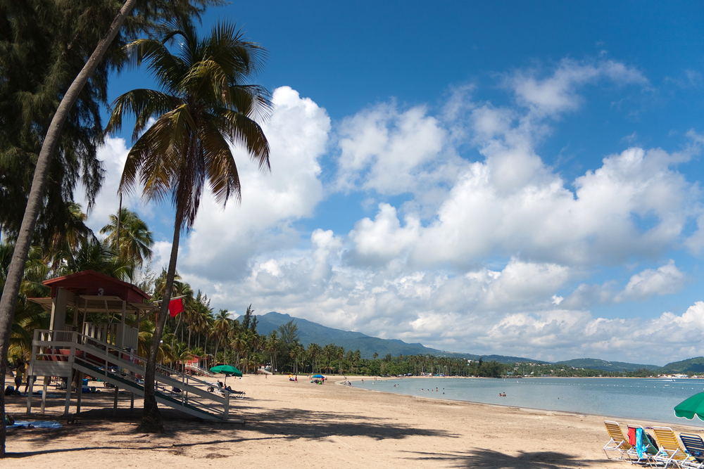 Hvor bør man bo på Puerto Rico? De 7 beste stedene & gode hoteller 5 Palmer langs stranden i Luquillo på Puerto Rico