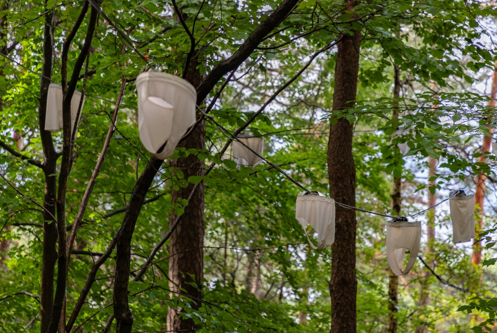 Pipilotti Rists skulptur Nordic Hiplights i Ekebergparken i Oslo
