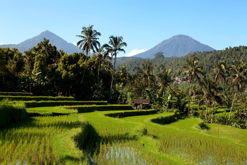 Severdigheter på Bali: De 17 beste tingene å se og gjøre 7 Risterrassene i Jatiluwih på Bali