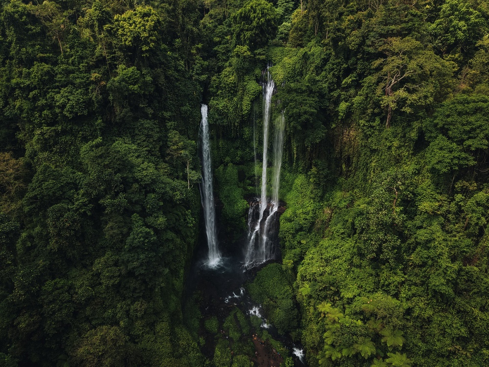 Severdigheter på Bali: De 17 beste tingene å se og gjøre 9 Sekumpul-fossene i jungelen på Nord-Bali