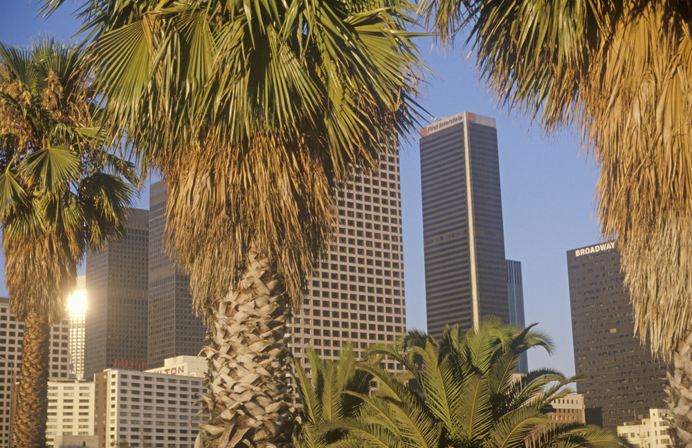 Downtown Los Angeles sett gjennom palmer