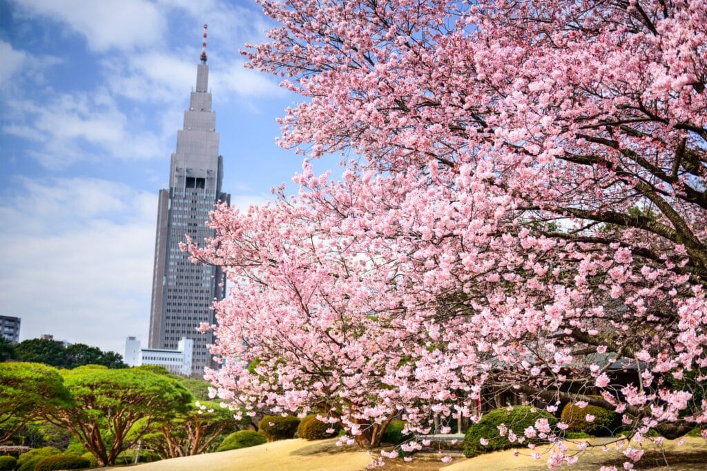 Shinjuku Gyoen i Tokyo