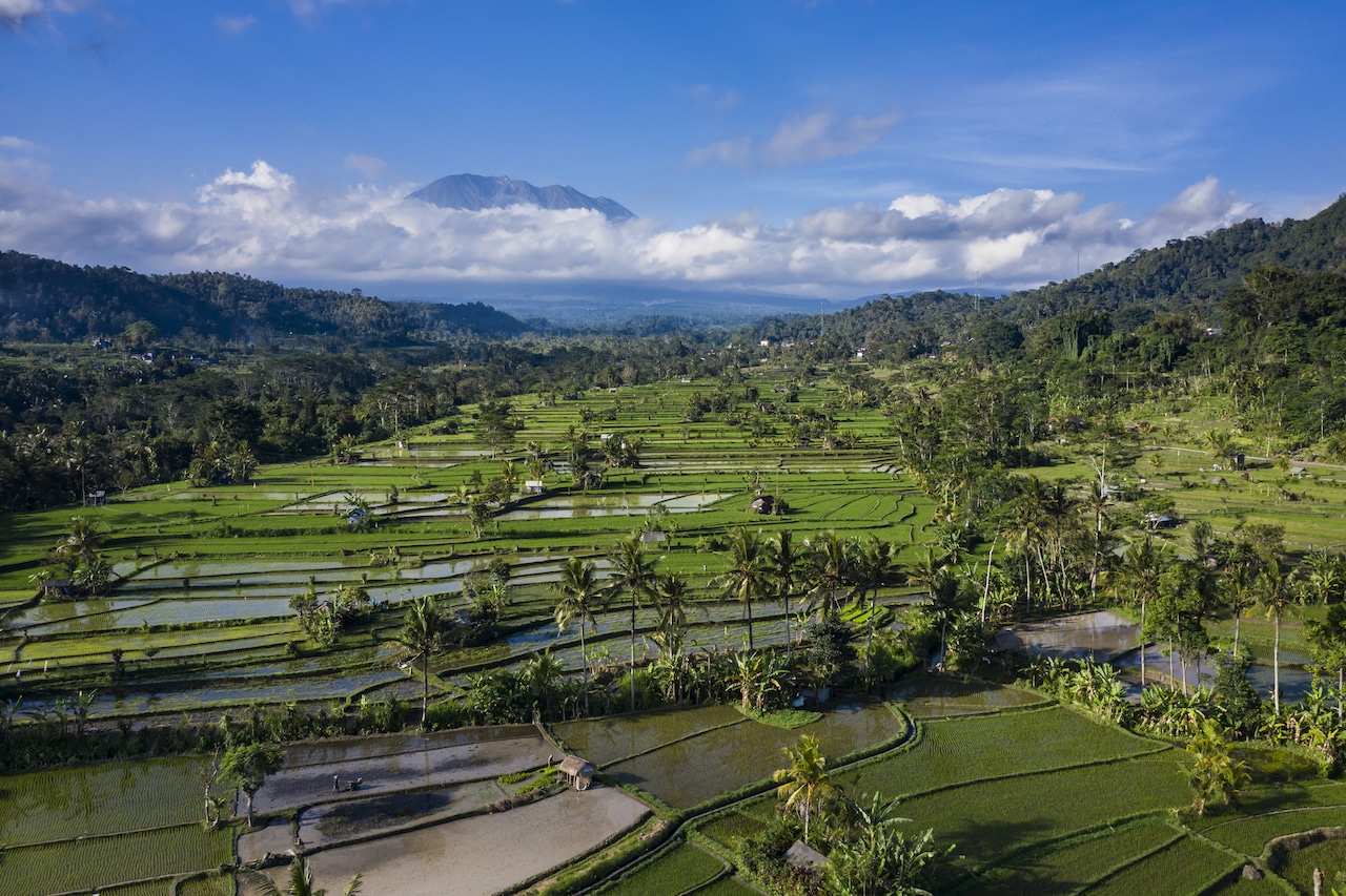 Fra Bali lufthavn til Seminyak, Canggu og Ubud - transportguide 8 Sidemen på Bali