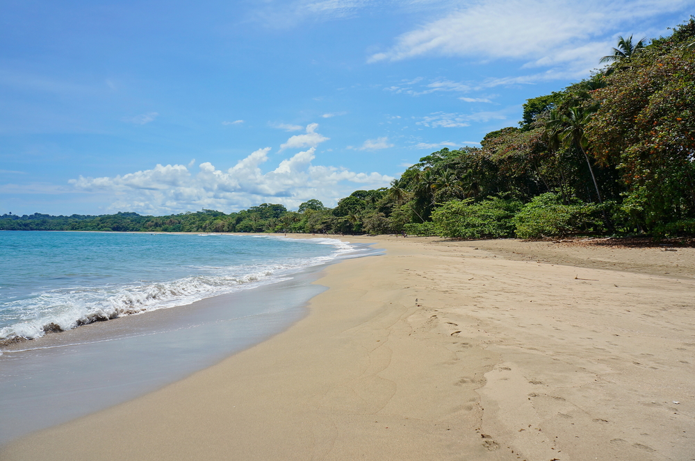 Stranden Playa Cocles ved Puerto Viejo på Costa Ricas karibiske kyst