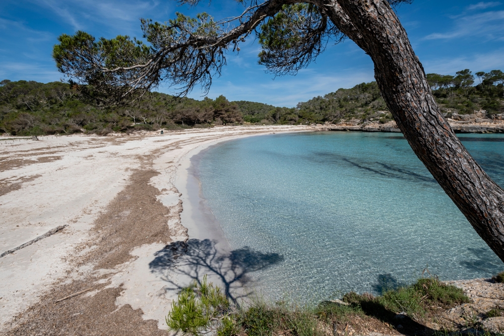 Severdigheter på Mallorca: de 17 beste tingene å se og gjøre 14 Stranden s'Amarador i naturparken Mondragó på Mallorca