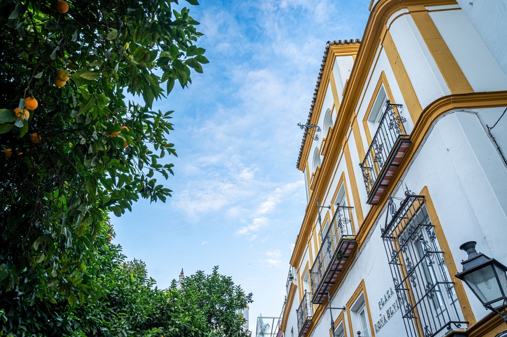 Severdigheter i Sevilla: de 17 beste tingene å se og gjøre 6 Gate i Santa Cruz, det gamle jødiske kvarteret i Sevilla