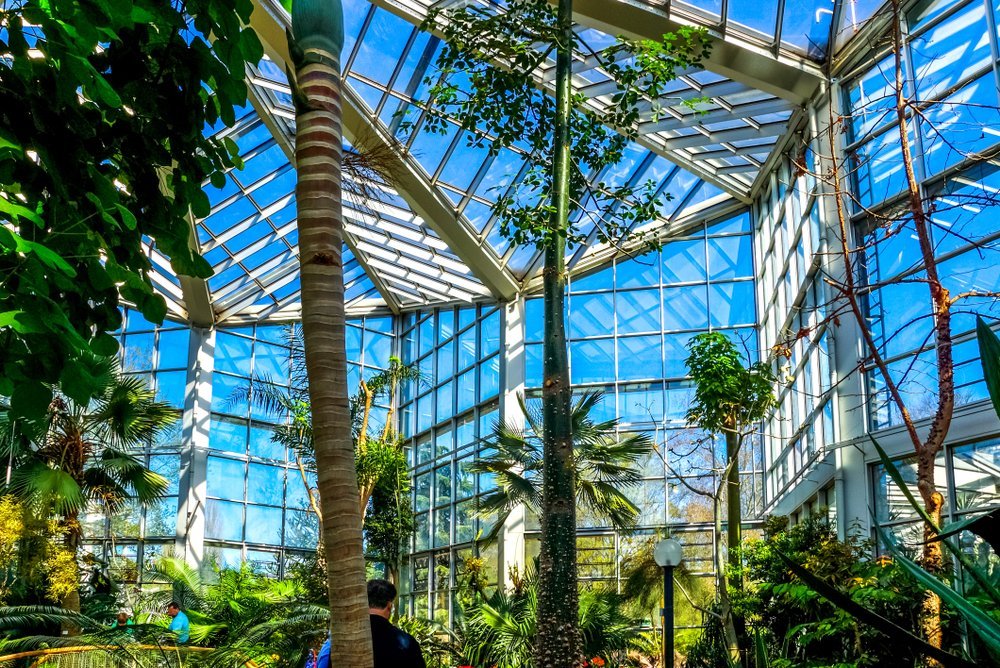 Severdigheter i Frankfurt: 18 ting å oppleve mellom skyskraperne og eplevinkroene 15 Den botaniske hagen Palmengarten i Frankfurt