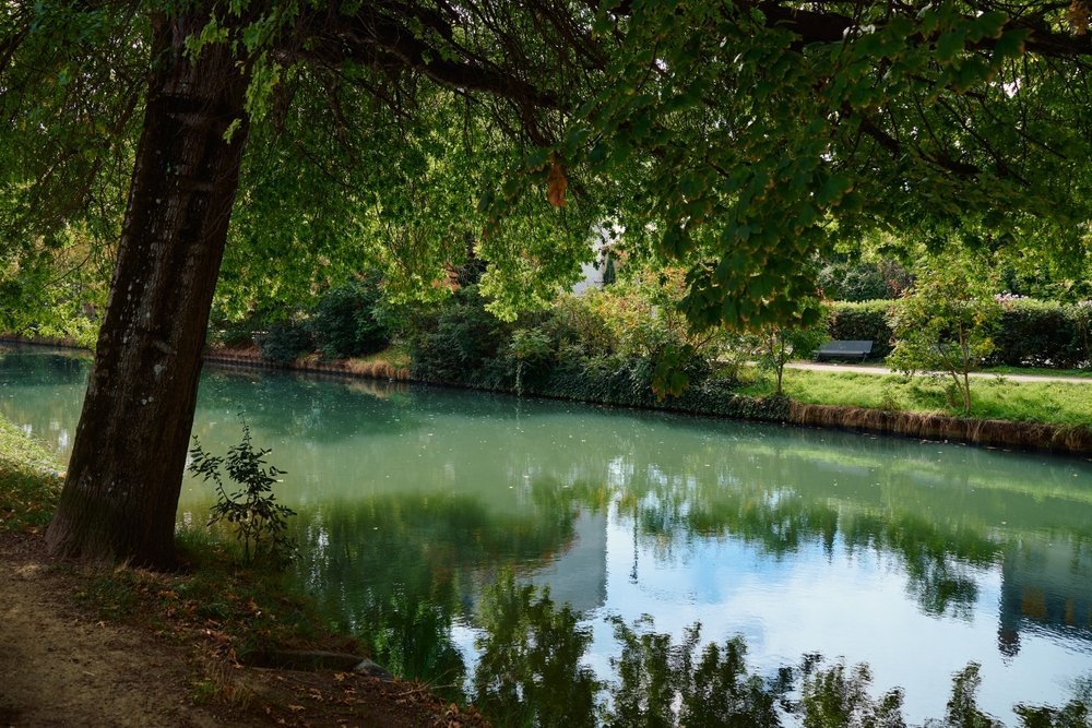 Canal du Midi med platantrær som speiler seg i vannet i Toulouse