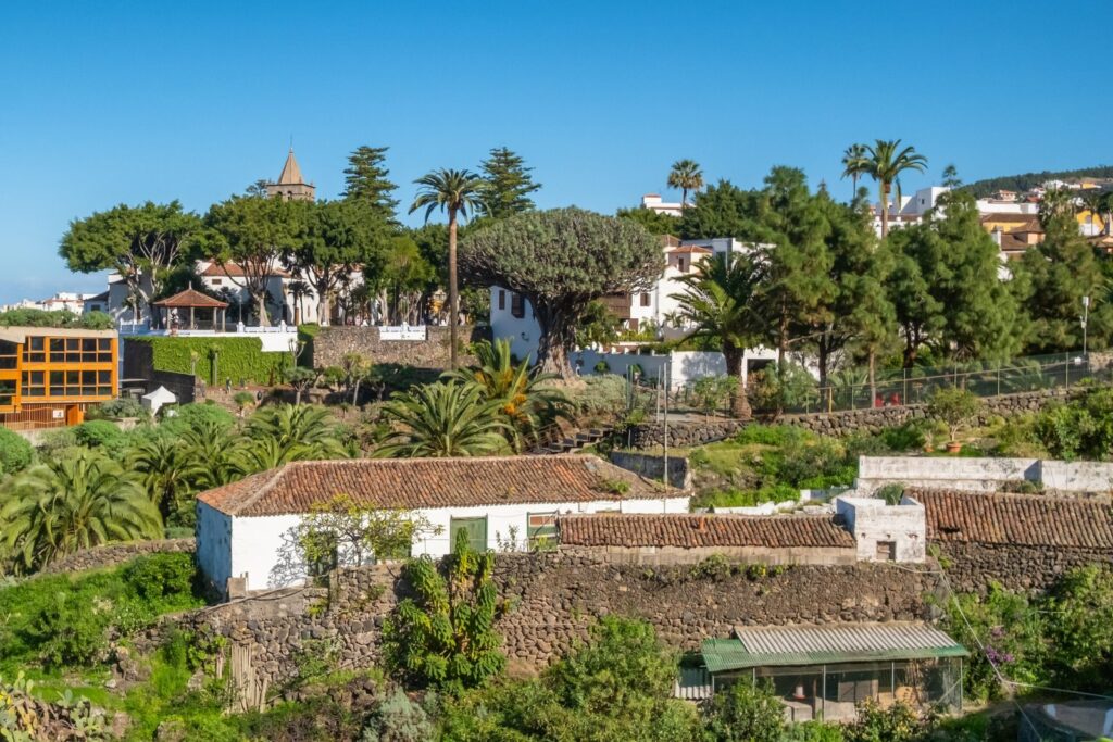 Severdigheter på Tenerife: de 18 beste tingene å se og gjøre 16 Dragetreet Drago Milenario i Icod de los Vinos med Teide bak