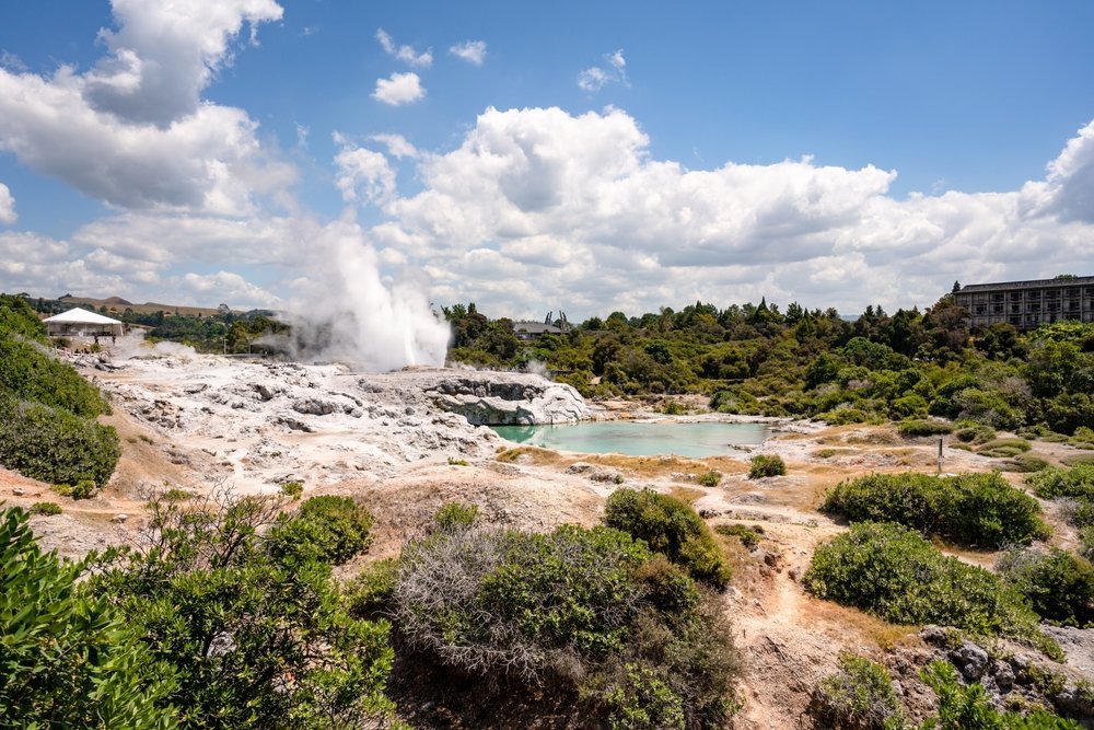 Geysiren Pohutu i utbrudd i Te Puia ved Whakarewarewa i Rotorua