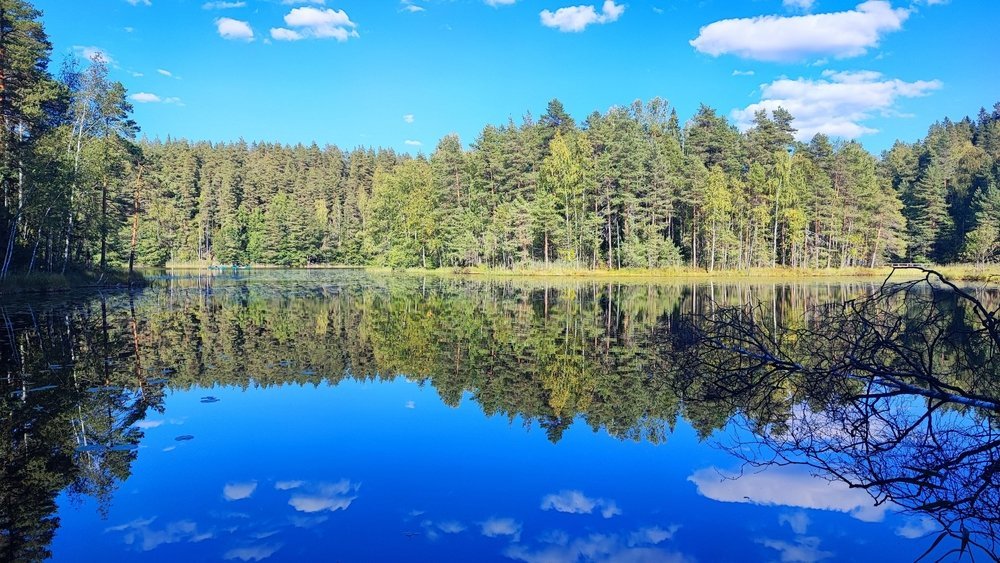 Innsjø og skog i Nuuksio nasjonalpark ved Helsinki