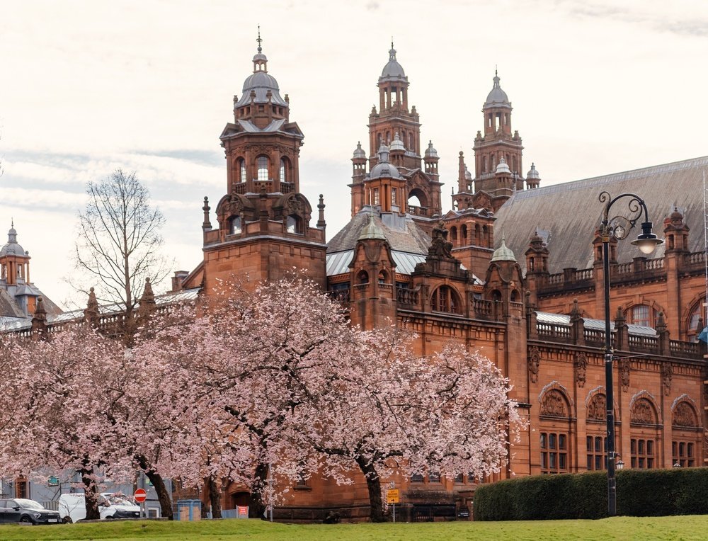 Kelvingrove Art Gallery and Museum i rød sandstein mellom kirsebærtrær i Glasgow