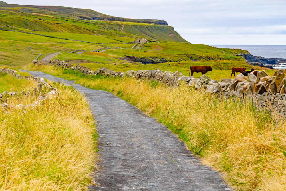 Landsbyen Doolin med hus og jorder i County Clare