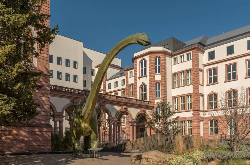 Severdigheter i Frankfurt: 18 ting å oppleve mellom skyskraperne og eplevinkroene 16 Senckenberg Naturmuseum på Senckenberganlage i Frankfurt