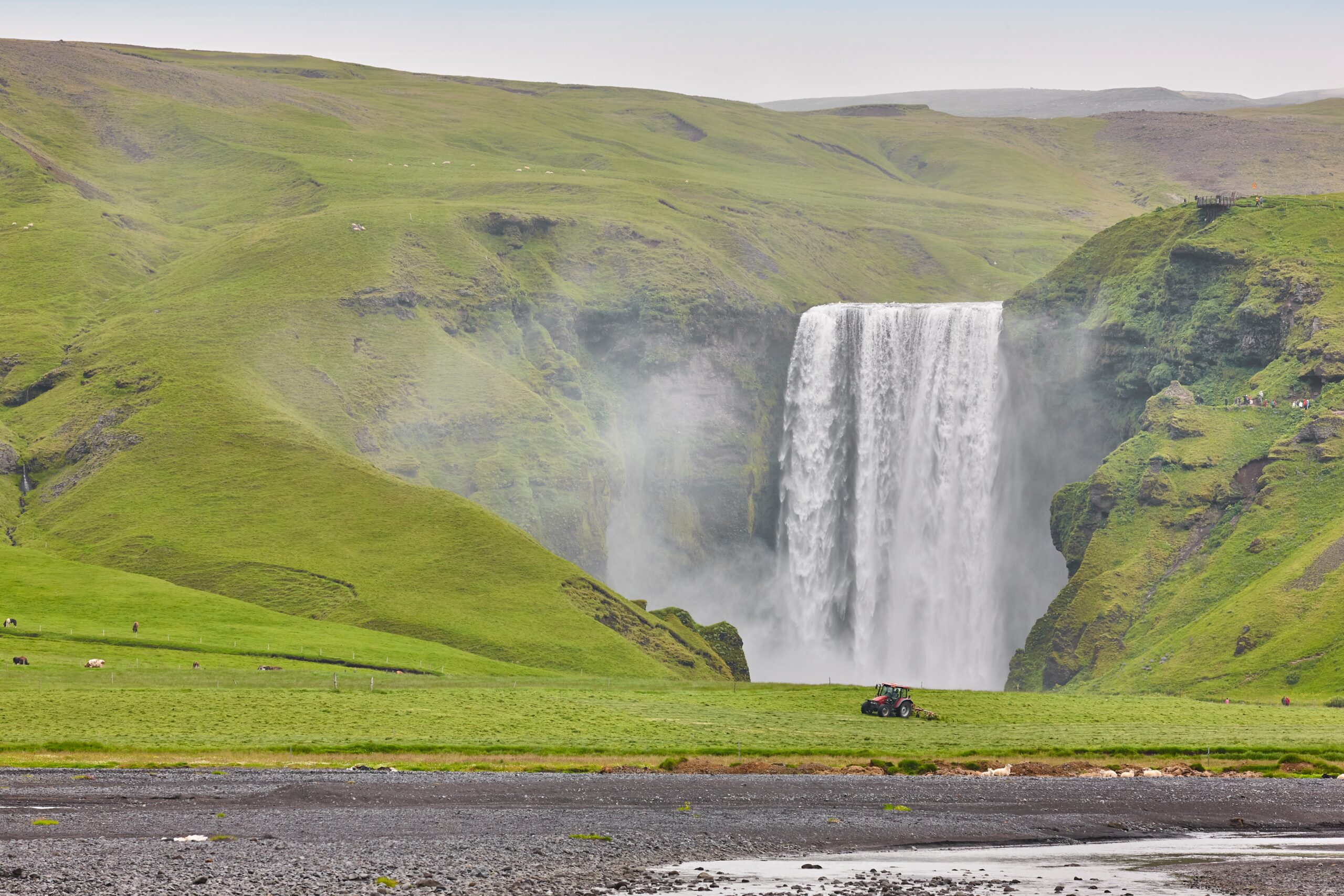 Skógafoss omgitt av grønt gress