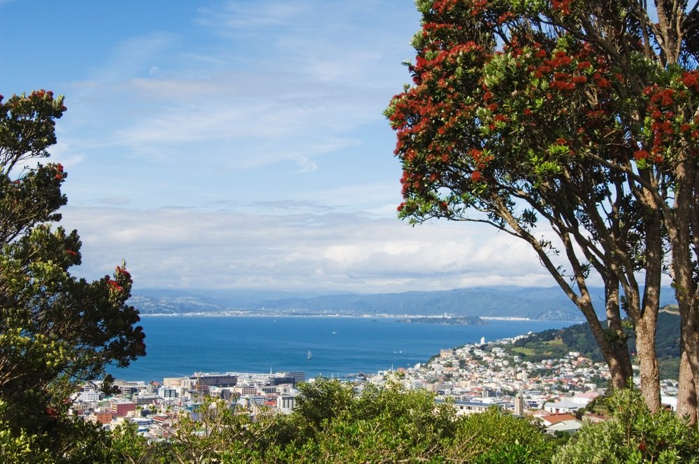Wellingtons sentrum og havnen sett over Oriental Bay